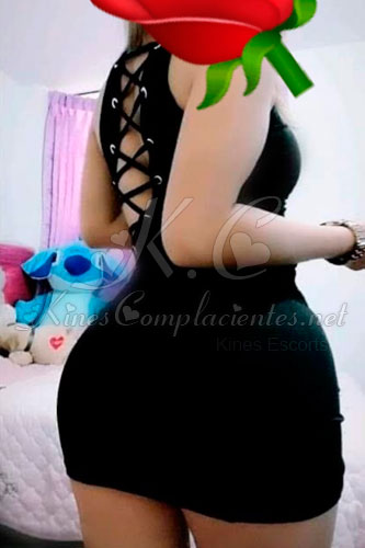 953661557 kines