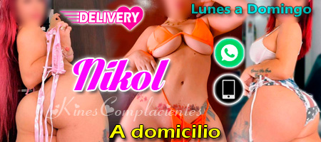 nikol videollamada salidas