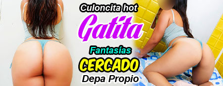 gatitas com