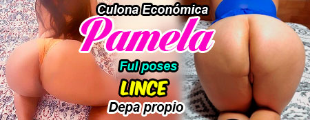 pamela culona economica